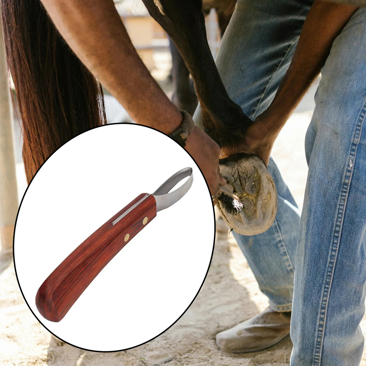 Professional Horse Hoof Trimming Loop | Farrier Tool Hoof Trimming Tool PLUSH