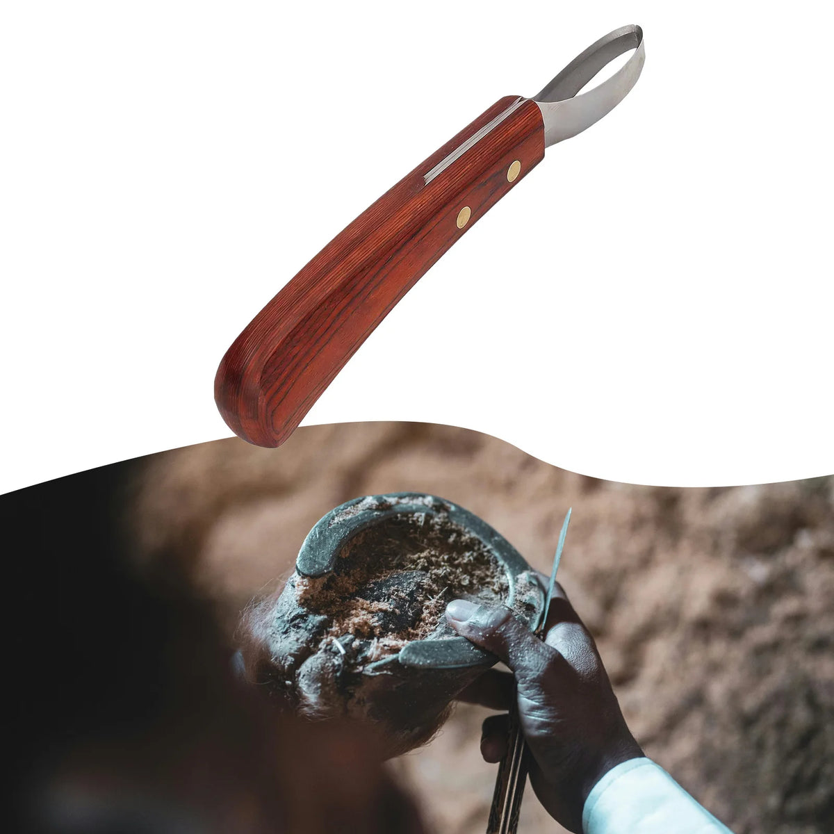 Professional Horse Hoof Trimming Loop | Farrier Tool Hoof Trimming Tool PLUSH