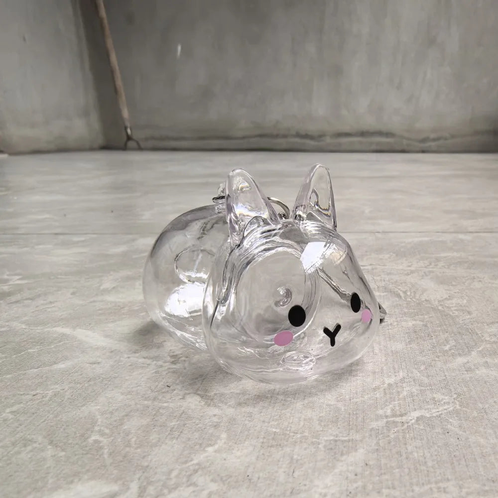 Transparent Pet Hair Storage Keychain – Cute Keepsake Container Pet Keepsake Keychain PLUSH Blush Bunny