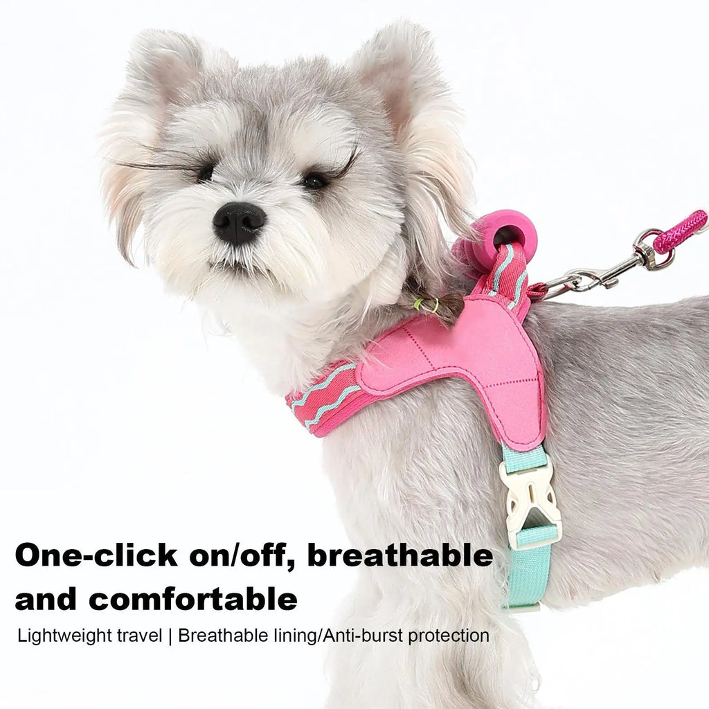 Adjustable Breathable Dog Harness & Leash Set | S–XL Dog Harness Set PLUSH