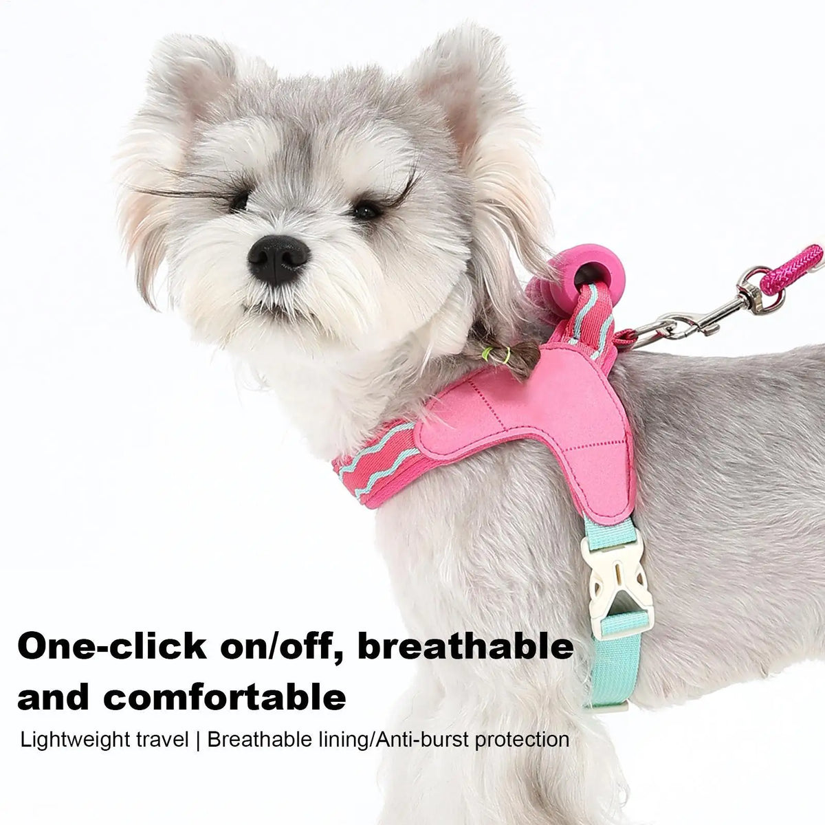 Adjustable Breathable Dog Harness & Leash Set | S–XL Dog Harness Set PLUSH