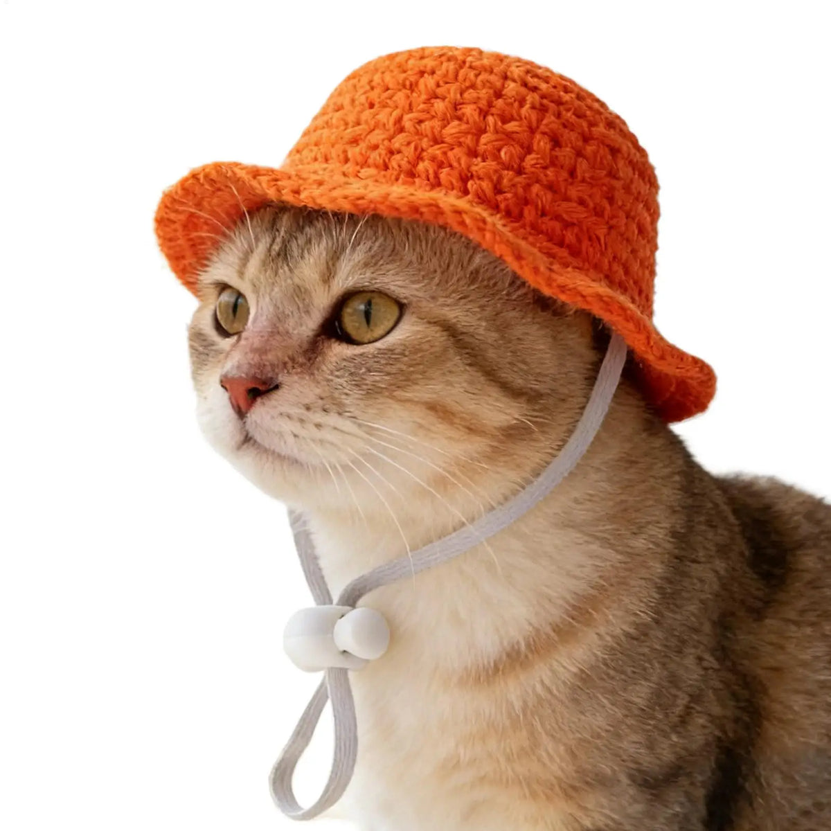 Mini Straw Sun Hat for Dogs & Cats – Breathable Beach Hat Pet Costume Hat PLUSH