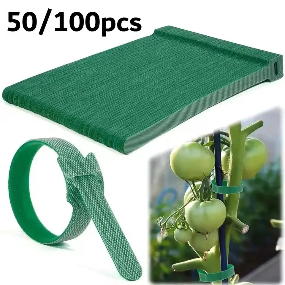 Adjustable Nylon Plant Ties – Reusable Velcro Loop Fasteners Garden Plant Ties PLUSH