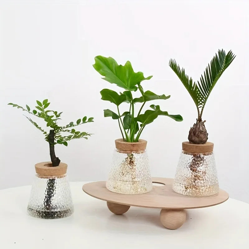 Nordic Glass Hydroponic Vase with Tray – Mini Tabletop Planter Hydroponic Glass Vase PLUSH