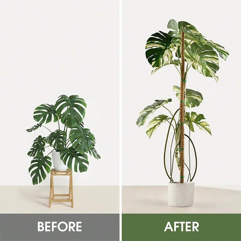 Bendable Moss Pole for Monstera & Climbing Plants | Indoor Trellis Plant Support Stake PLUSH