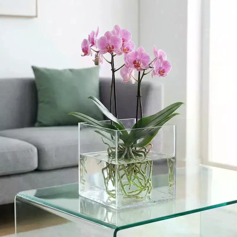 Transparent Acrylic Flower Pot – Square & Round Desktop Planter Decorative Planter PLUSH