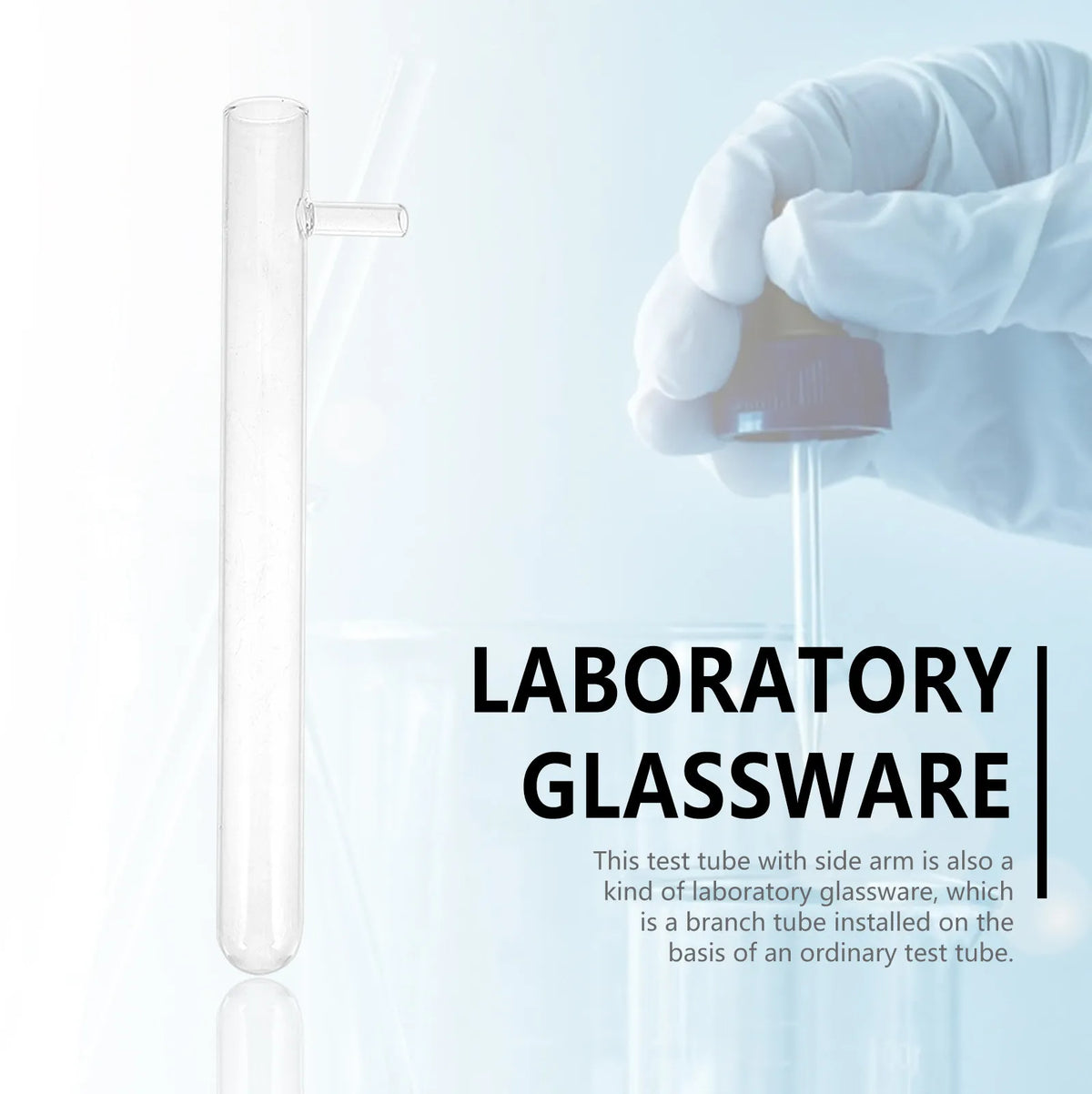 6pcs Borosilicate Glass Side Arm Test Tubes | Lab Glassware Lab Test Tubes PLUSH