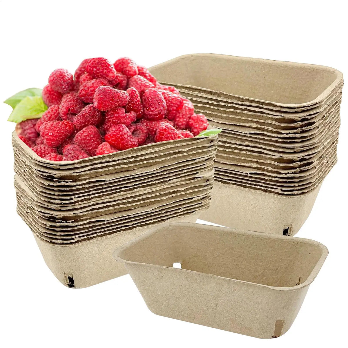 50pcs Paper Pulp Berry Baskets – Eco Fruit Storage Trays Fruit Storage Basket PLUSH