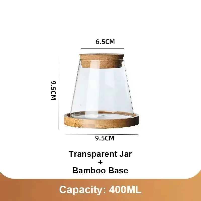 Nordic Glass Hydroponic Vase with Tray – Mini Tabletop Planter Hydroponic Glass Vase PLUSH A-1