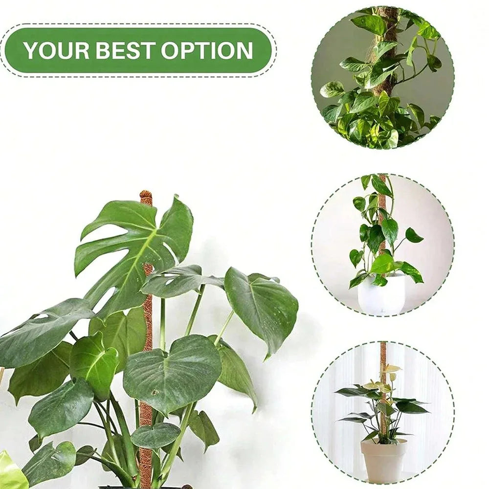 Bendable Moss Pole for Monstera & Climbing Plants | Indoor Trellis Plant Support Stake PLUSH