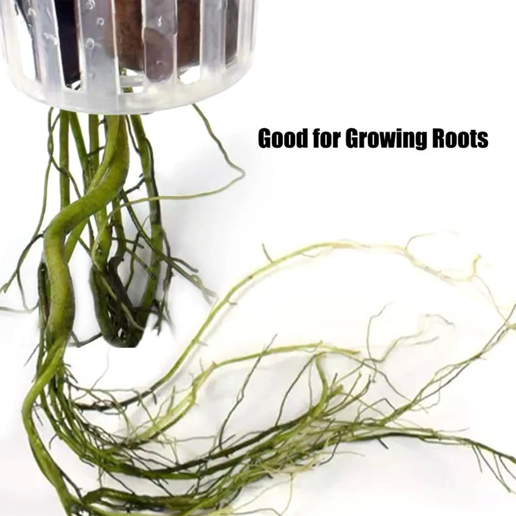 2-Pack Aquarium Plant Basket Holder | Fish Tank Hanging Cups Aquarium Plant Holder PLUSH
