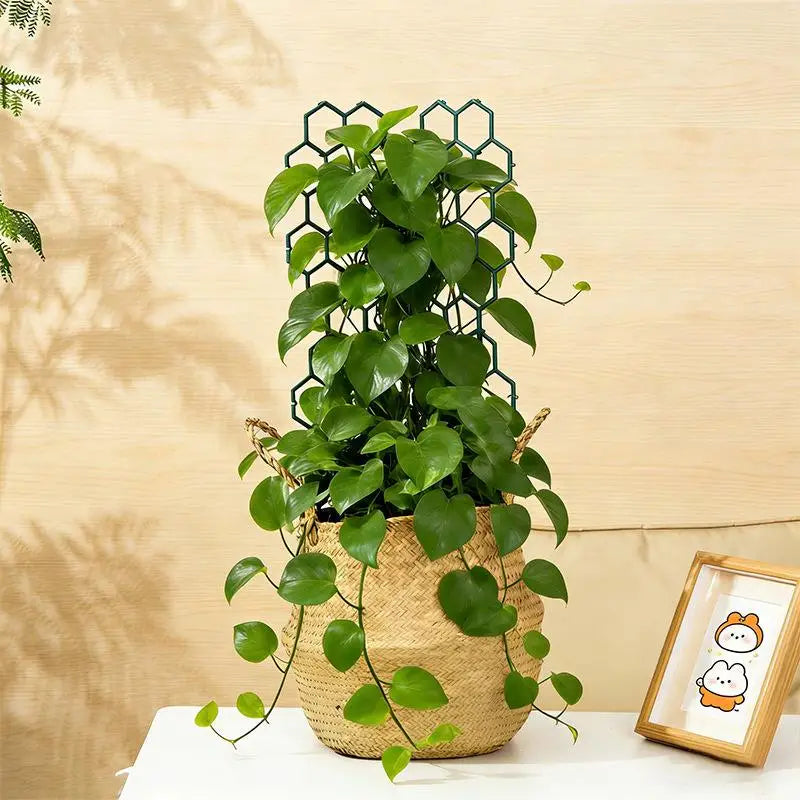 Honeycomb Plastic Plant Trellis – Vine & Flower Support 1–5pcs Plant Trellis Support PLUSH