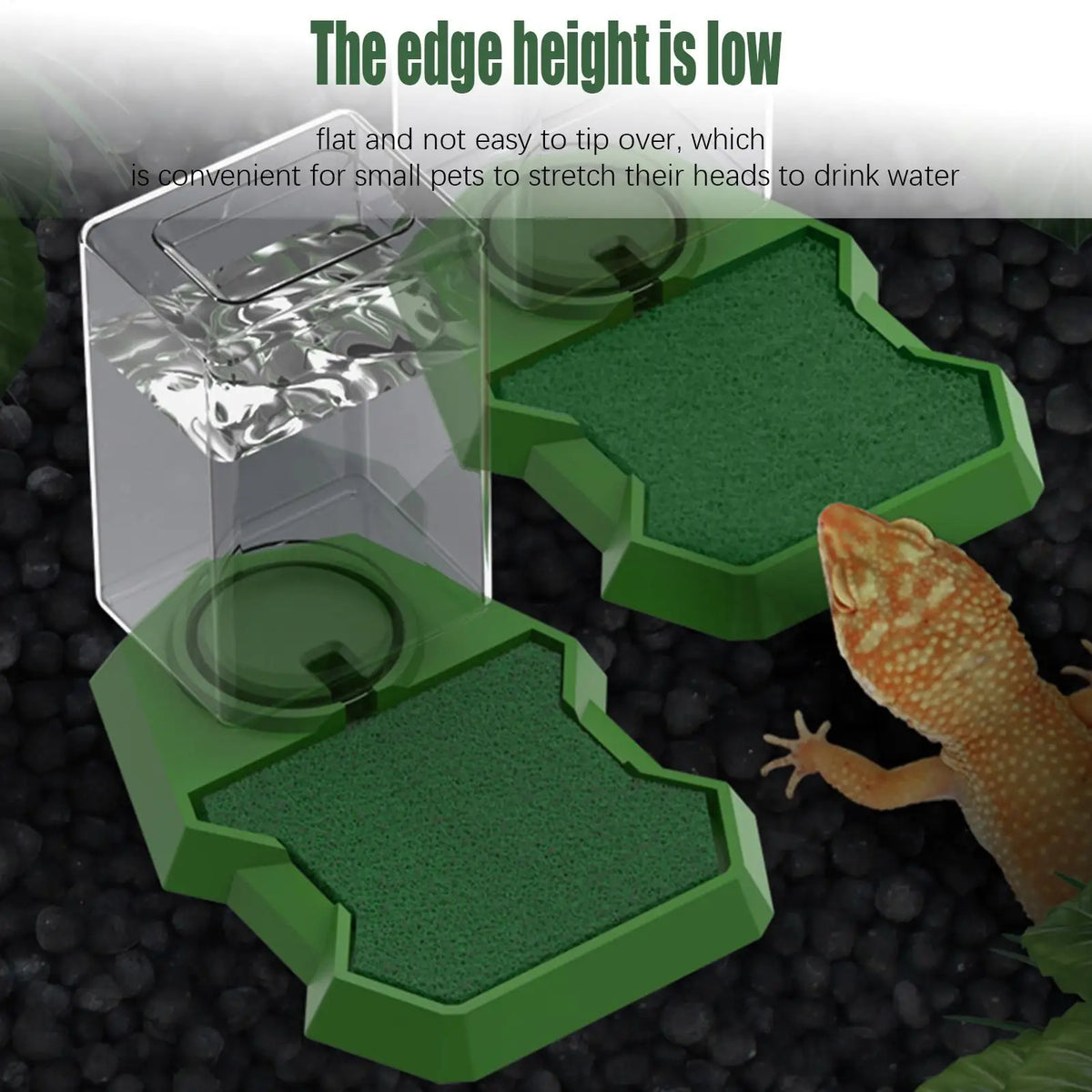 Reptile Water Dispenser Anti-Slip Dish Bowl – Large Capacity Reptile Water Dispenser PLUSH