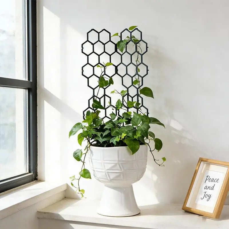 Honeycomb Plastic Plant Trellis – Vine & Flower Support 1–5pcs Plant Trellis Support PLUSH