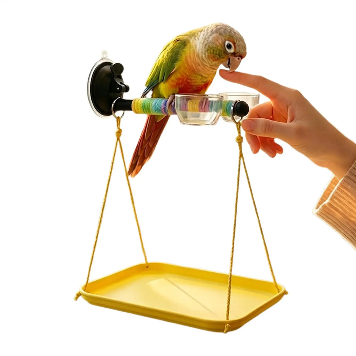 Window Bird Perch Suction Cup & Droppings Tray – Parakeet Bird Perch Stand PLUSH