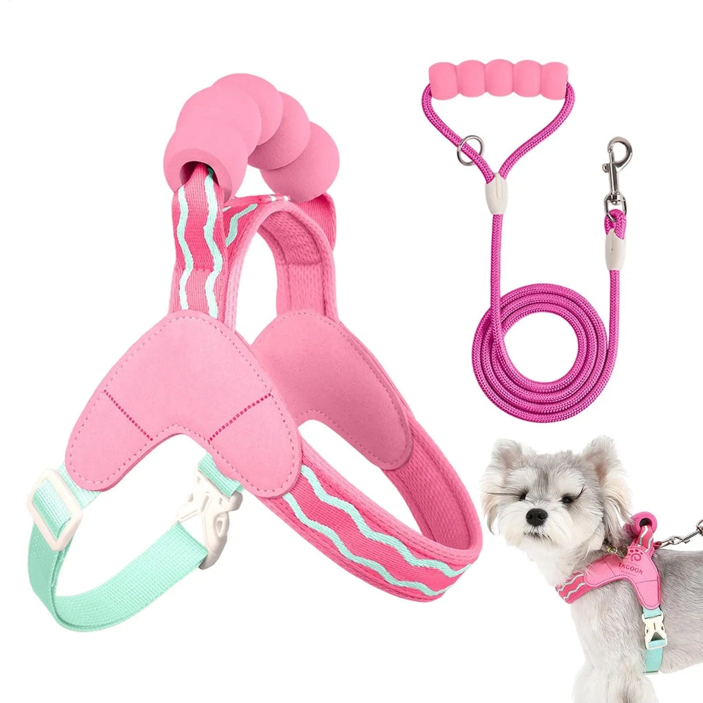 Adjustable Breathable Dog Harness & Leash Set | S–XL Dog Harness Set PLUSH