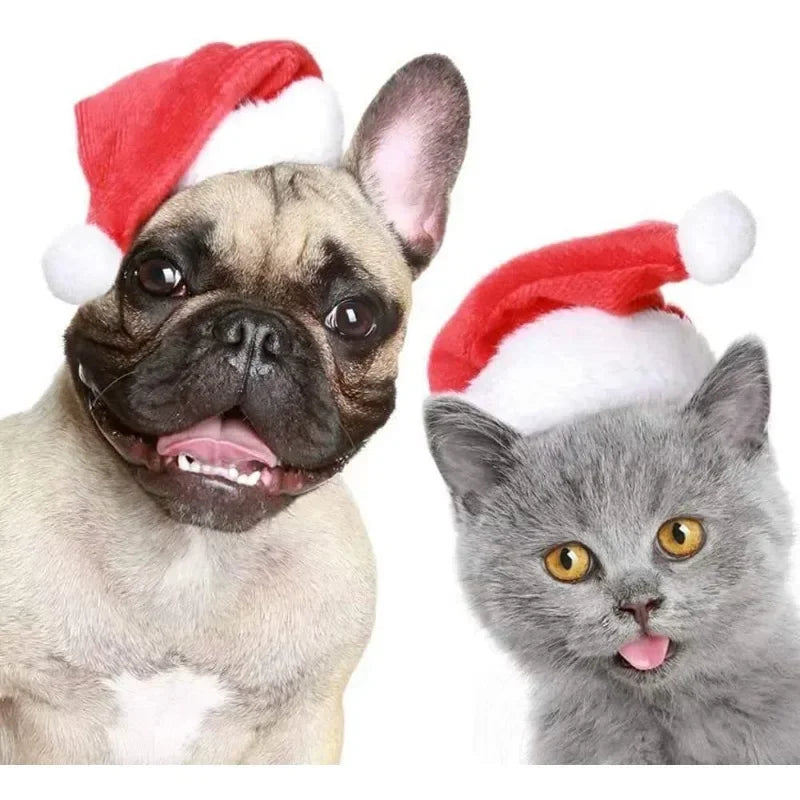 Dog Santa Hat – Red Plush Christmas Cap for Pets Pet Holiday Costume PLUSH