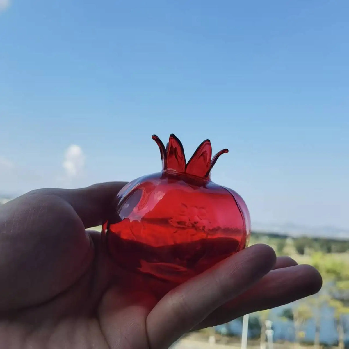 Mini Pomegranate Hand-Blown Glass Vase – Hydroponic Planter Decorative Glass Vase PLUSH