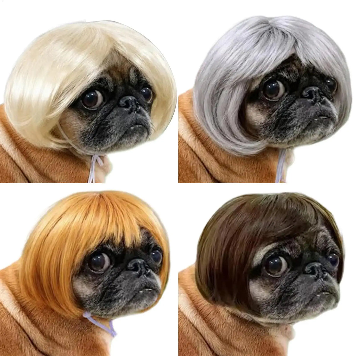 Funny Pet Wig for Dogs & Cats – DIY Halloween Costume Wig Pet Costume Wig PLUSH