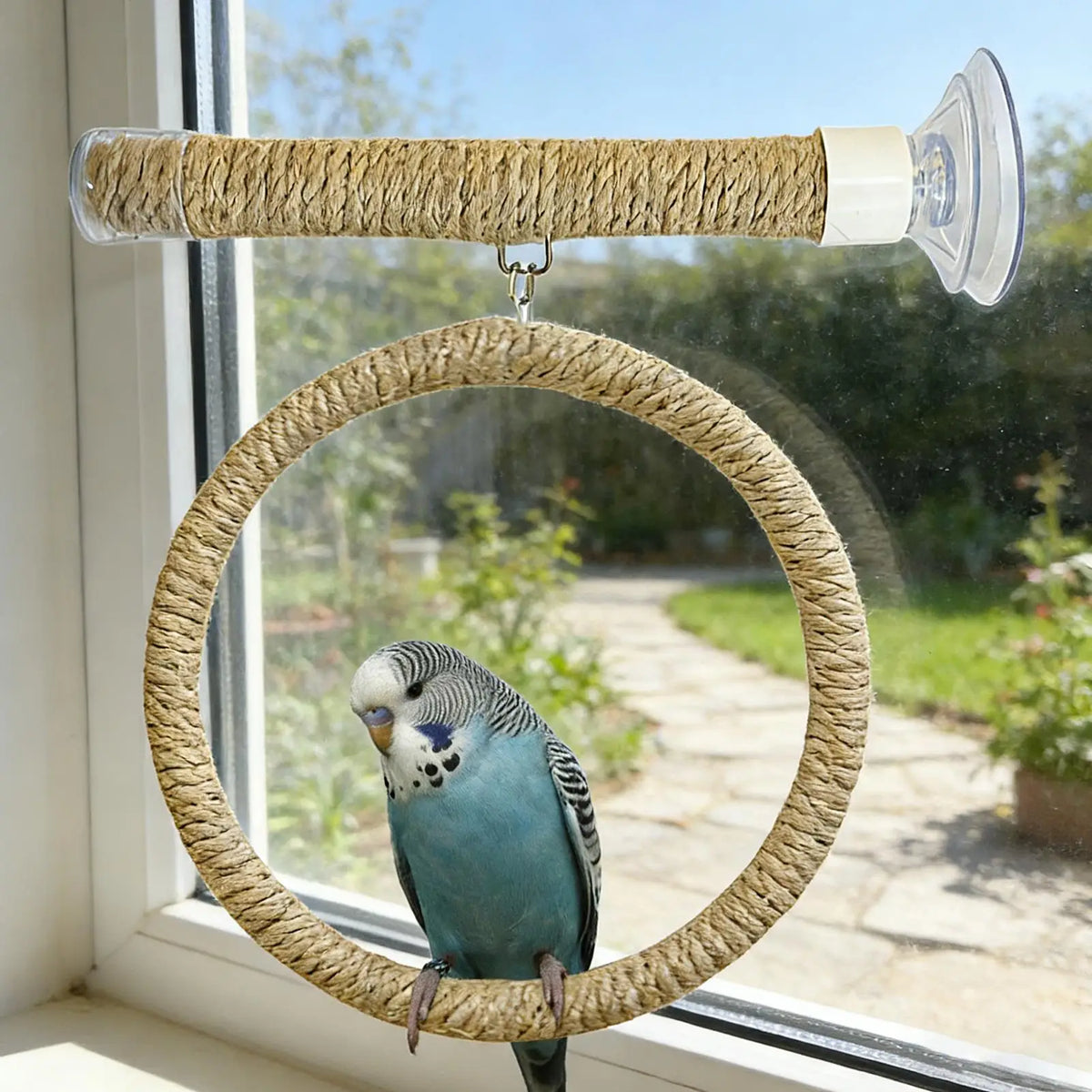 Suction Cup Bird Swing & Perch Set – Parrot Rope Play Stand Bird Perch Swing PLUSH