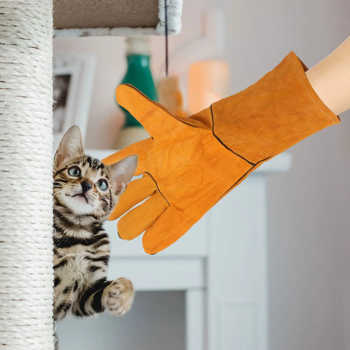 Leather Anti-Bite Pet Training Gloves – Parrot & Bird Safety Pet Training Gloves PLUSH Default Title