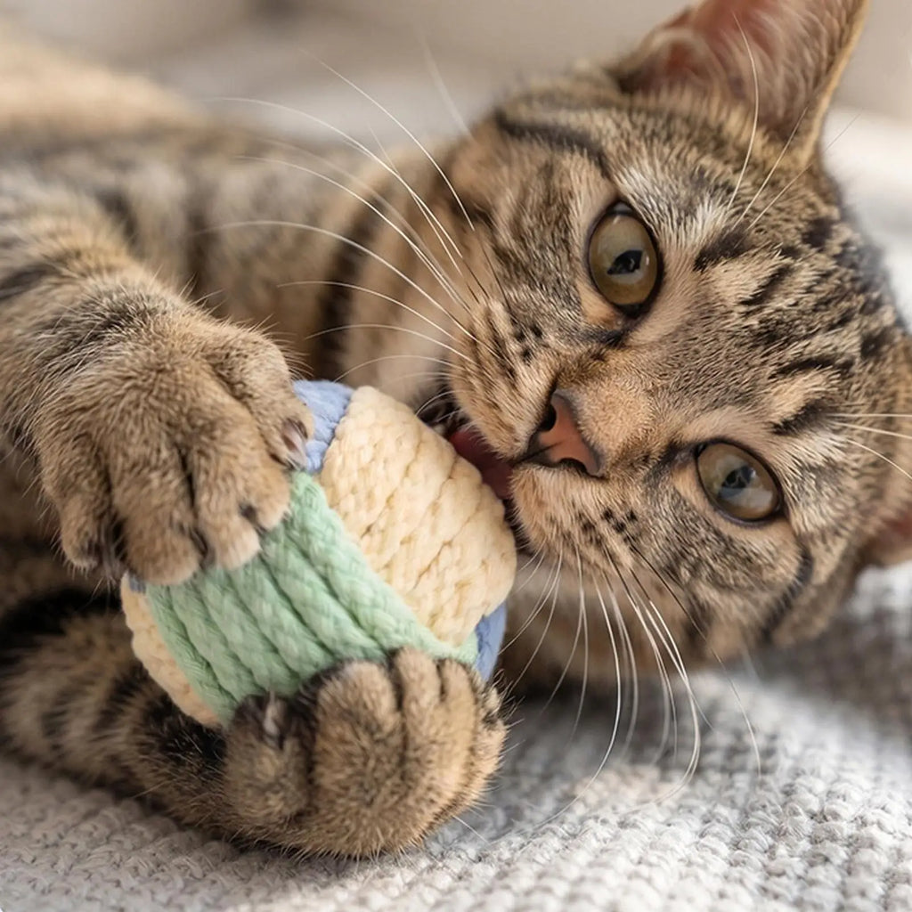 Interactive Cat Ball Toy – Cotton Rope Bell Chew Toy for Cats Cat Chew Toy PLUSH