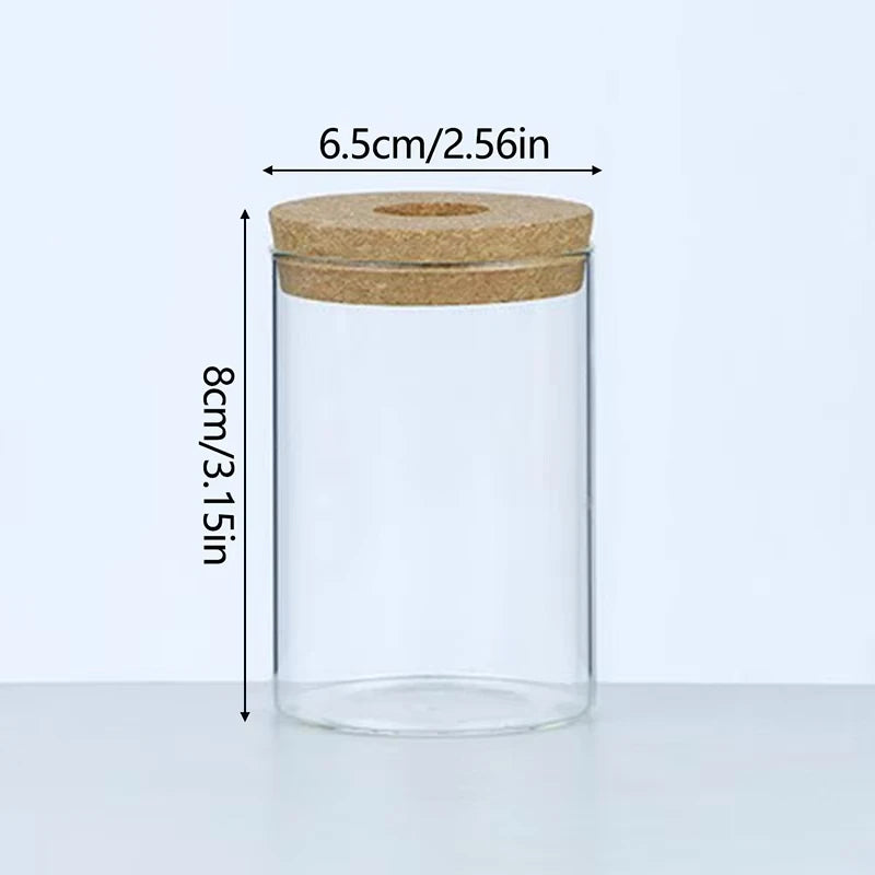 Nordic Glass Hydroponic Vase with Tray – Mini Tabletop Planter Hydroponic Glass Vase PLUSH D