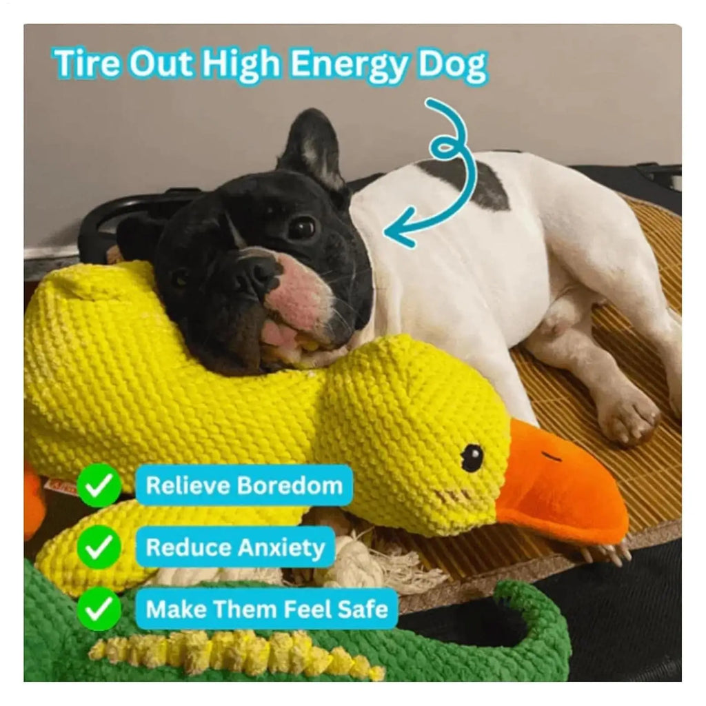 Plush Duck Dog Chew Toy – Squeaky Bite-Resistant Companion Plush Dog Toy PLUSH