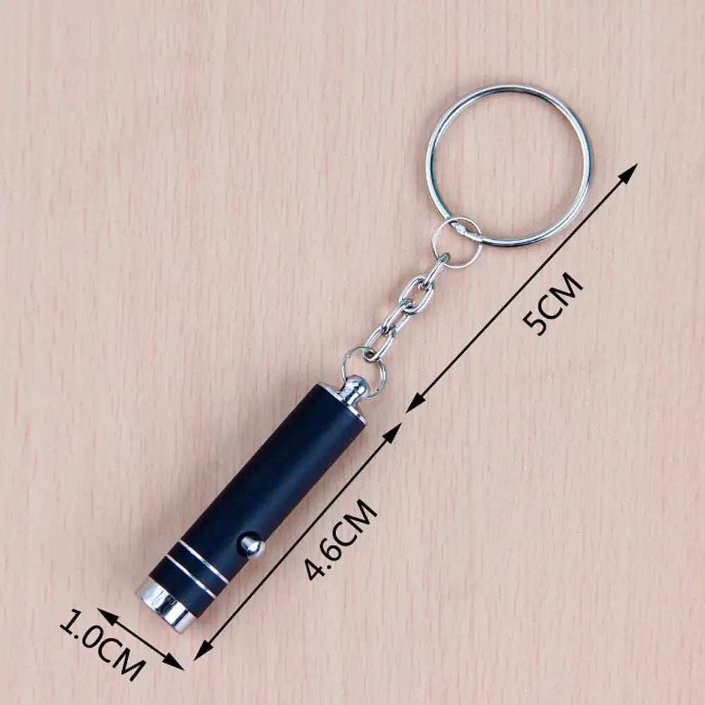 UV LED Keychain Flashlight – Counterfeit Money Detector Torch UV Keychain Flashlight PLUSH