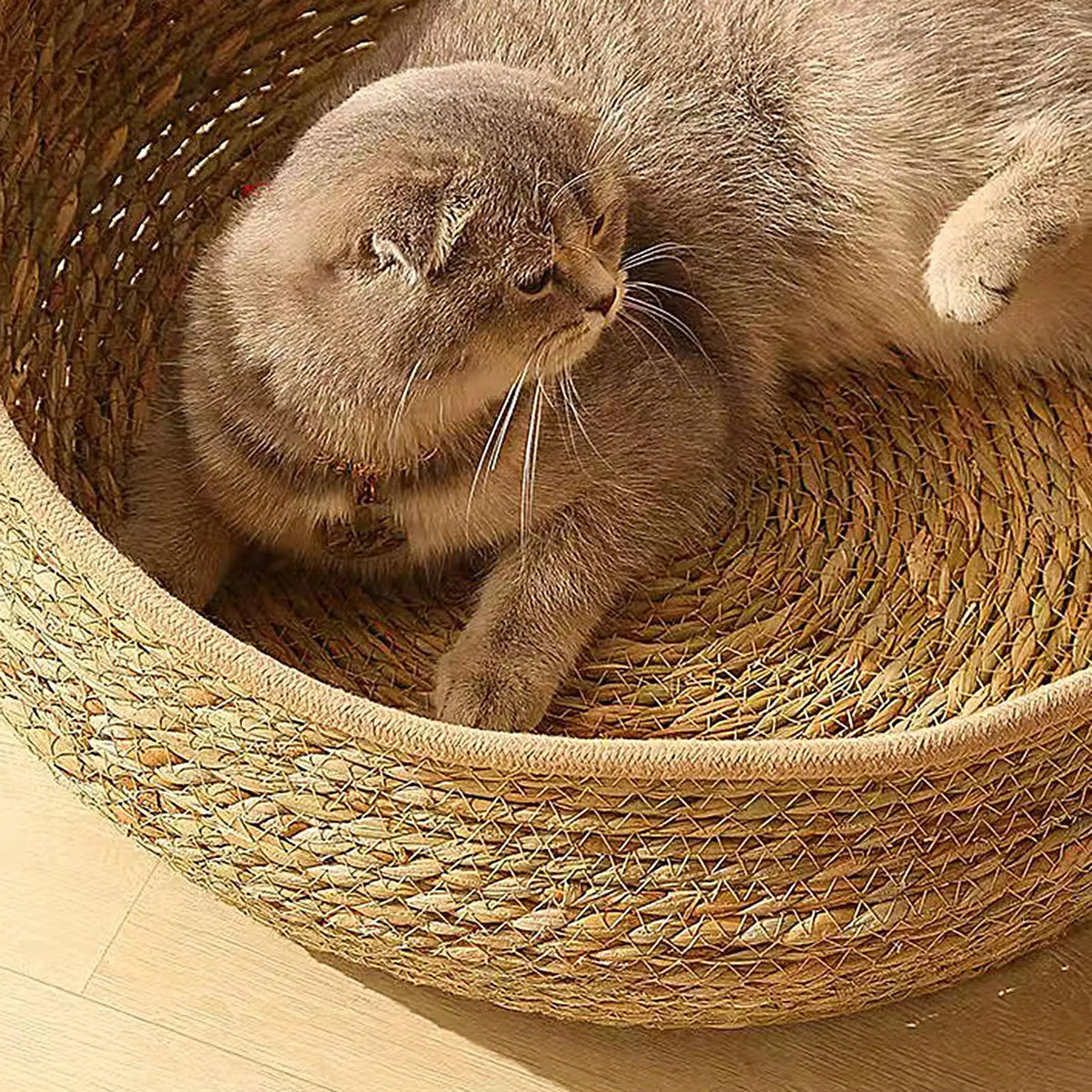 Woven Cat Basket Bed with Cushion & Pillow – Washable Cat Basket Bed PLUSH
