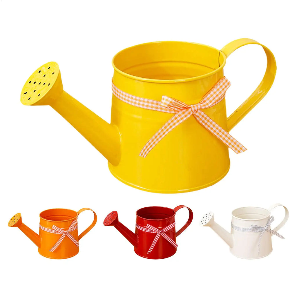 Mini Metal Watering Can – Decorative Indoor Plant Sprinkler Garden Watering Can PLUSH