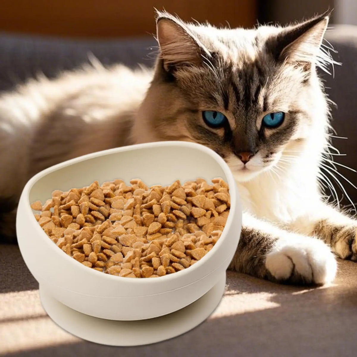Spill-Proof Silicone Pet Bowl with Suction Cup Base Silicone Pet Bowl PLUSH