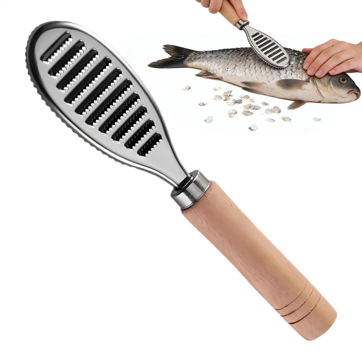 Stainless Steel Fish Scale Remover Scraper Tool | 21cm Fish Scaler Tool PLUSH