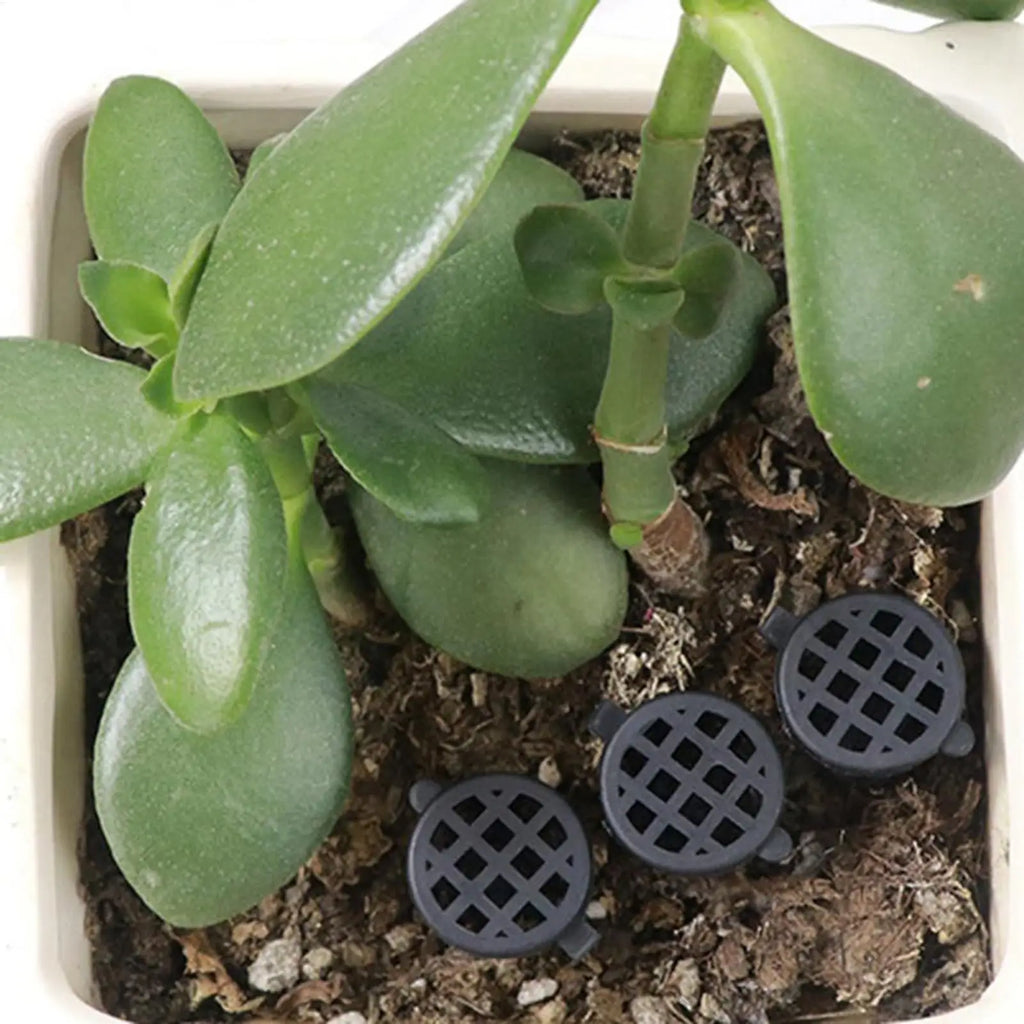 10pcs Slow Release Fertilizer Mesh Baskets for Bonsai & Pots Fertilizer Mesh Basket PLUSH