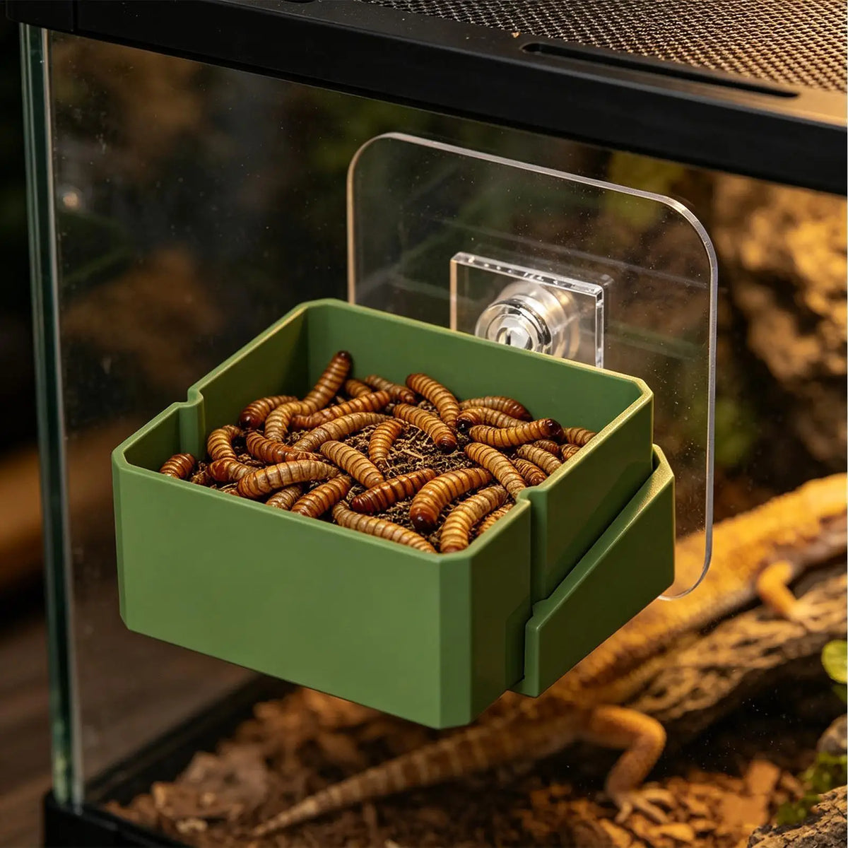 Wall-Mounted Reptile Feeder Water Bowl Dish for Gecko Lizard Reptile Feeding Dish PLUSH