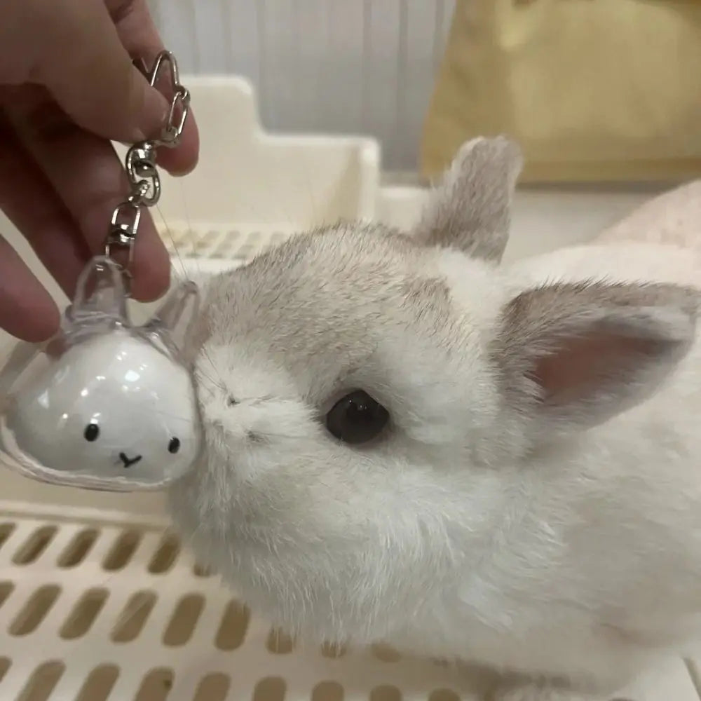 Transparent Pet Hair Storage Keychain – Cute Keepsake Container Pet Keepsake Keychain PLUSH