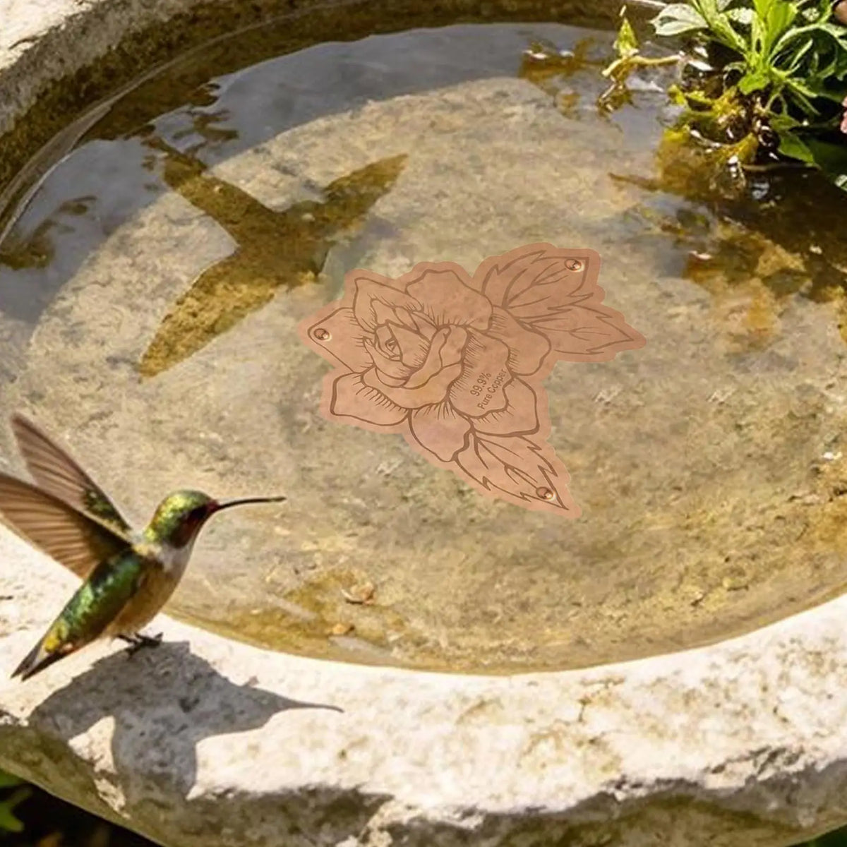 Copper Bird Bath Purifier Disk – Triple-Point Support Bird Bath Accessory PLUSH