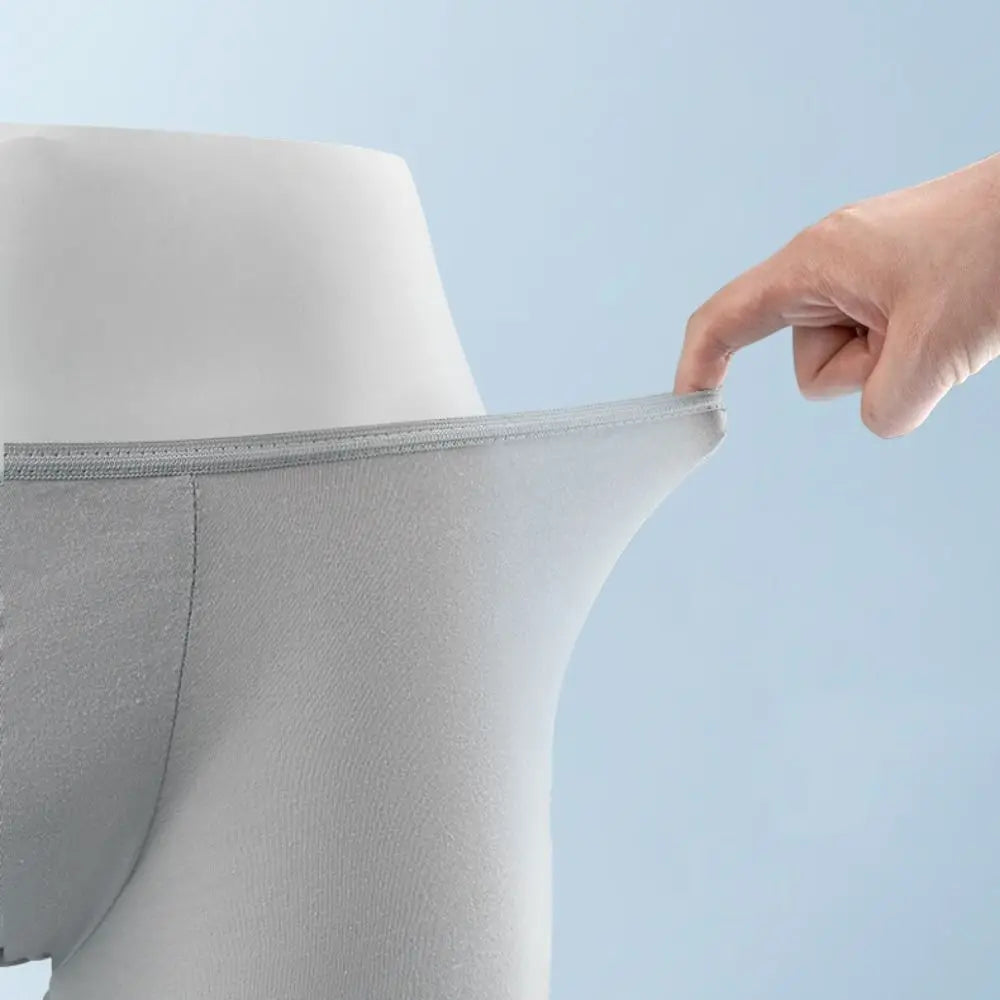 5-Pack Men's Seamless Disposable Briefs | Sizes L–4XL Men's Disposable Briefs PLUSH