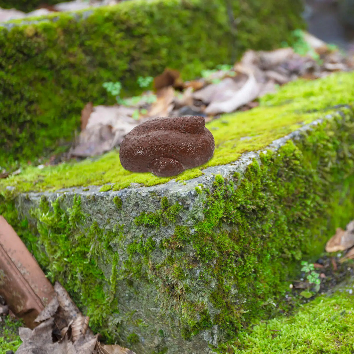 Poop Shaped Outdoor Key Hider – Waterproof Hidden Key Holder Hidden Key Holder PLUSH