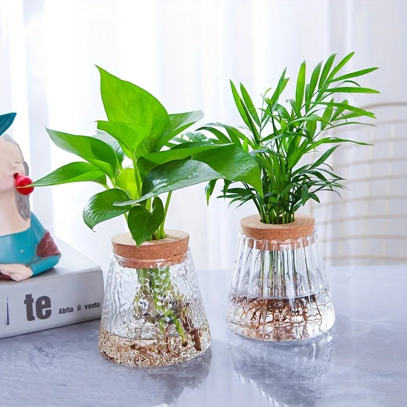 Nordic Glass Hydroponic Vase with Tray – Mini Tabletop Planter Hydroponic Glass Vase PLUSH