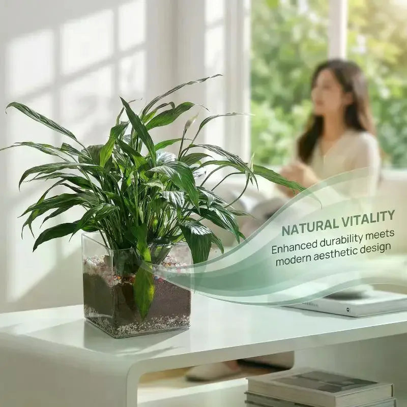 Transparent Acrylic Flower Pot – Square & Round Desktop Planter Decorative Planter PLUSH