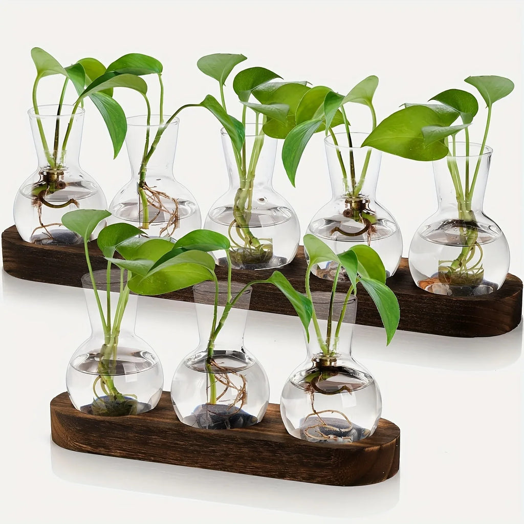 Glass Terrarium Vase & Wooden Tray – Hydroponics Propagation Station Terrarium Propagation Vase PLUSH