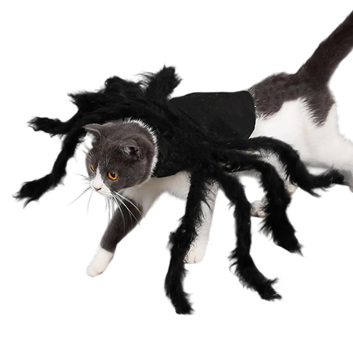 Halloween Spider Costume for Cats & Small Dogs | S & M Sizes Pet Halloween Costume PLUSH