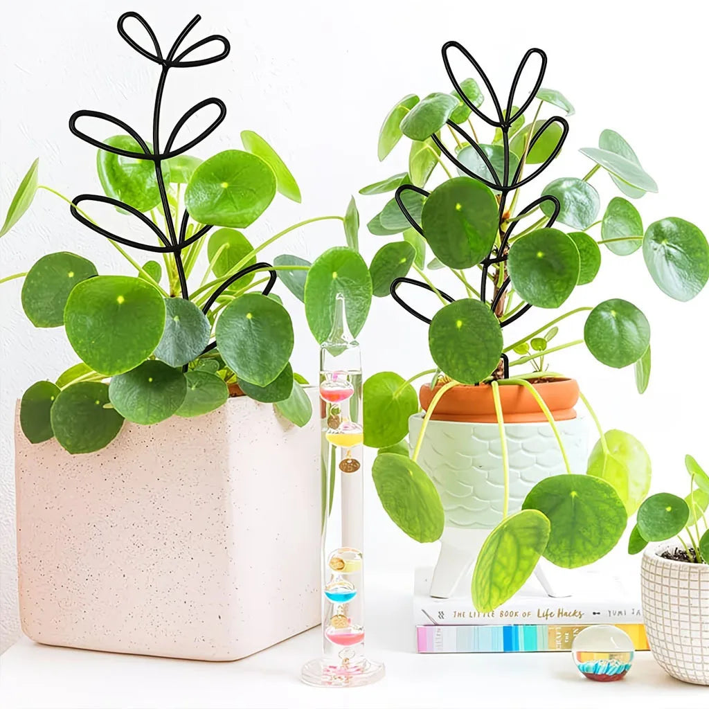 Plant Trellis Rustproof Plastic Support for Vines & Flowers Plant Trellis PLUSH