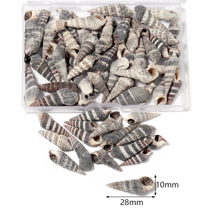 Natural Shell & Conch Beads Box – Ocean Beach DIY Jewelry Shell Craft Beads PLUSH Style 4
