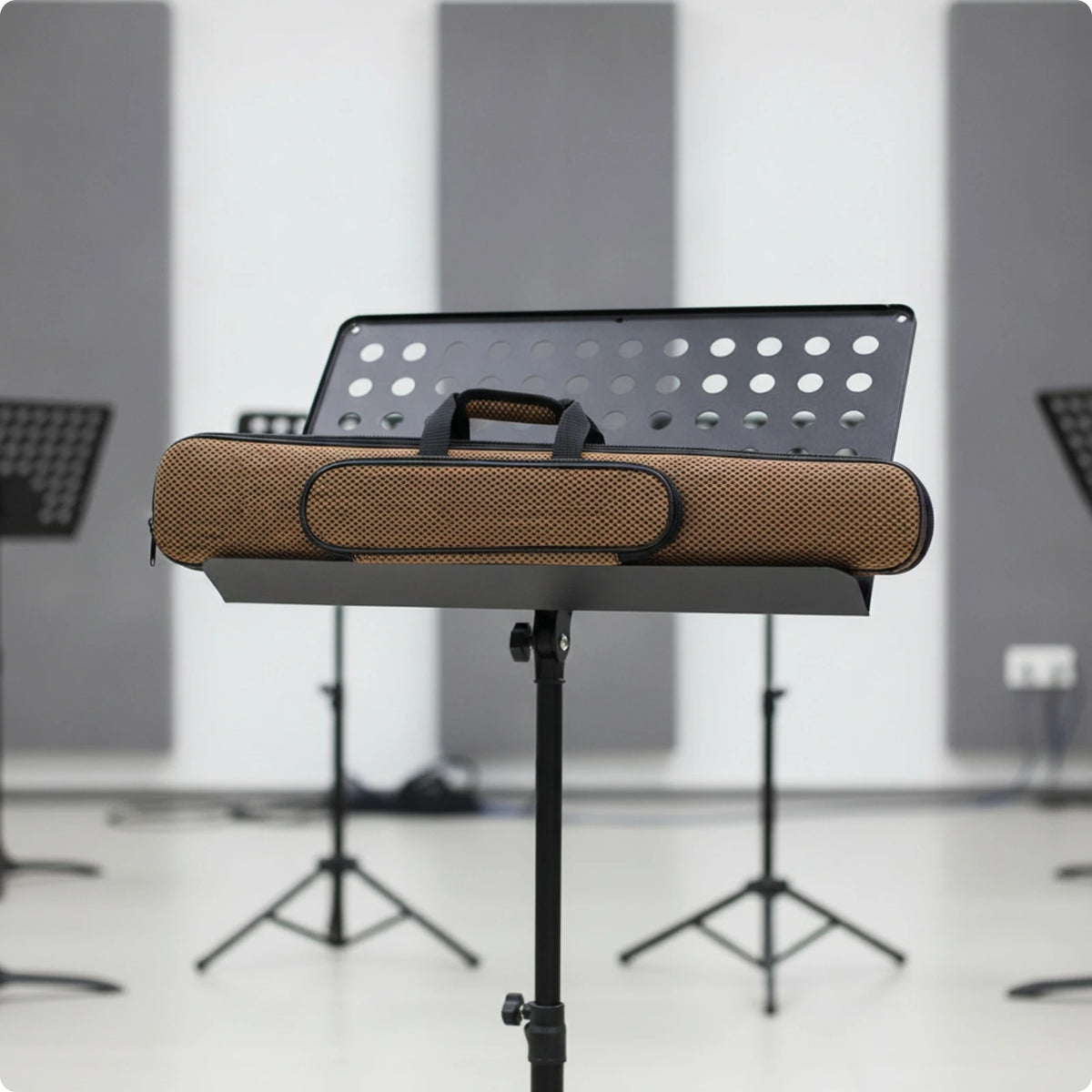 Padded Clarinet Case with Shoulder Strap | Portable & Sturdy Clarinet Case PLUSH Brown