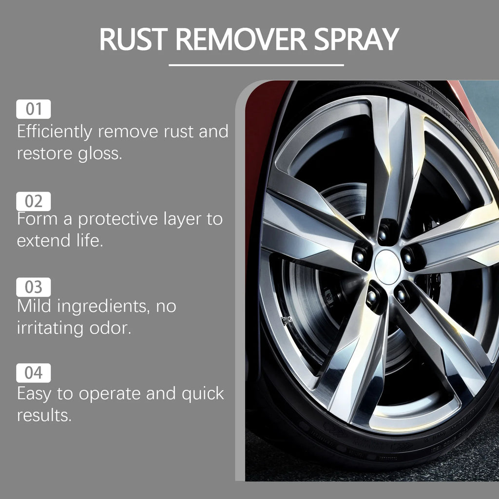 RayHong Rust Remover Spray – Iron Oxidation Eliminator 100ml Rust Remover Spray PLUSH