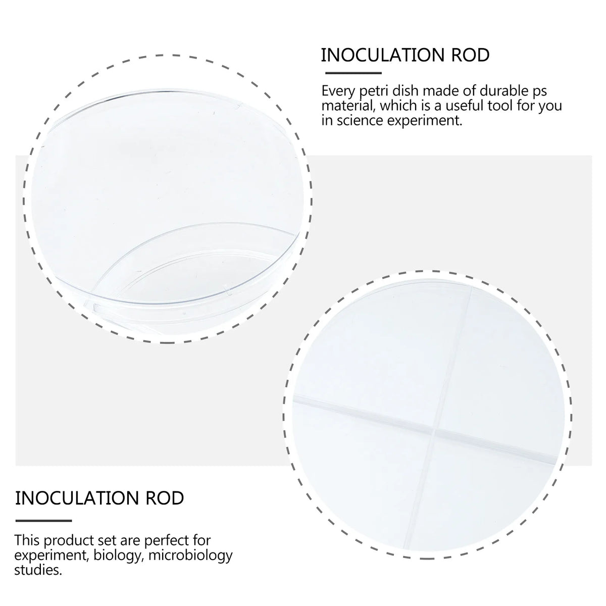 10pcs Four-Compartment Plastic Petri Dishes | Lab & Science Lab Petri Dishes PLUSH