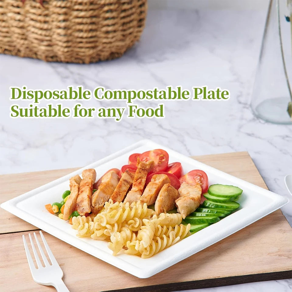 White Square Disposable Paper Plates 25/50pcs | Party Supplies Disposable Paper Plates PLUSH