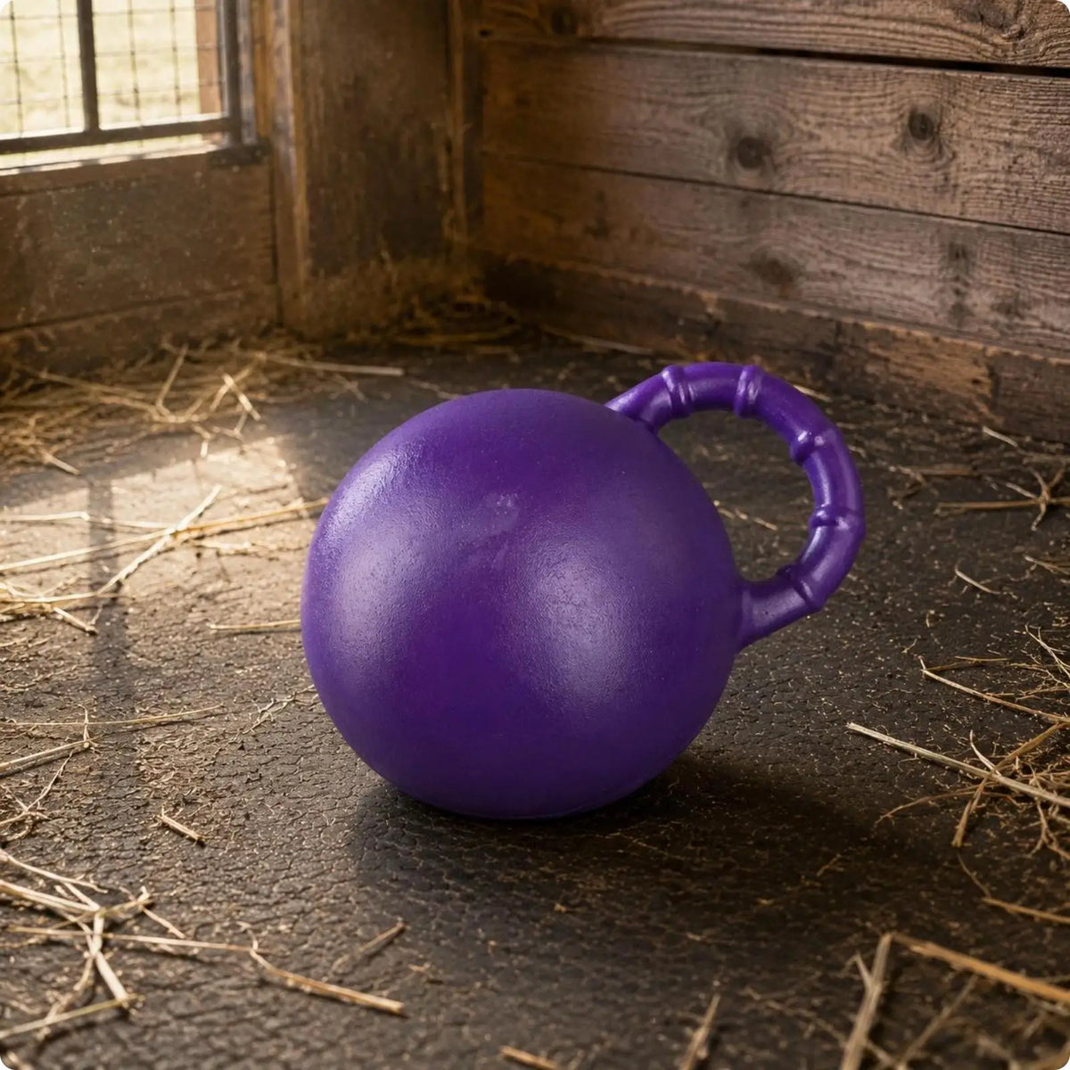 Fruit Scented Slow Return Equine Play Ball – Horse Toy Equine Play Ball PLUSH Purple